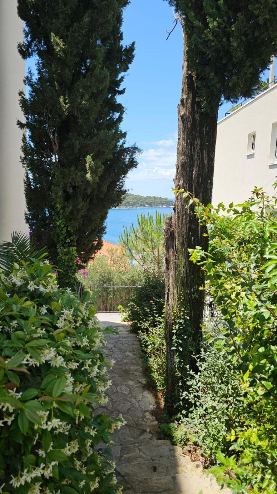 Residence Alpha Apartments Cavtat Ngoại thất bức ảnh