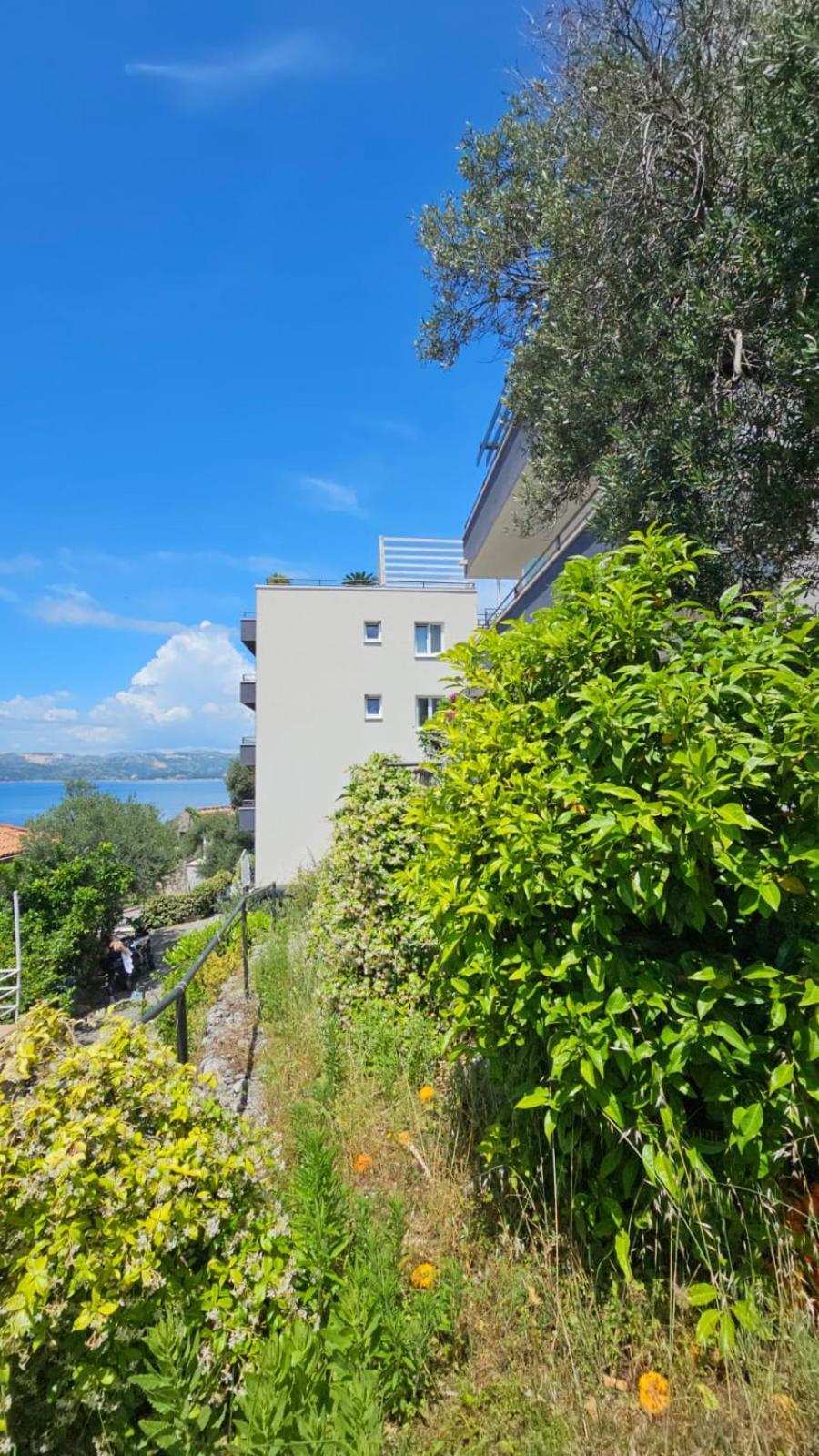 Residence Alpha Apartments Cavtat Ngoại thất bức ảnh